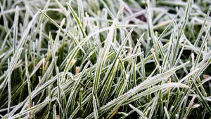 合规管理